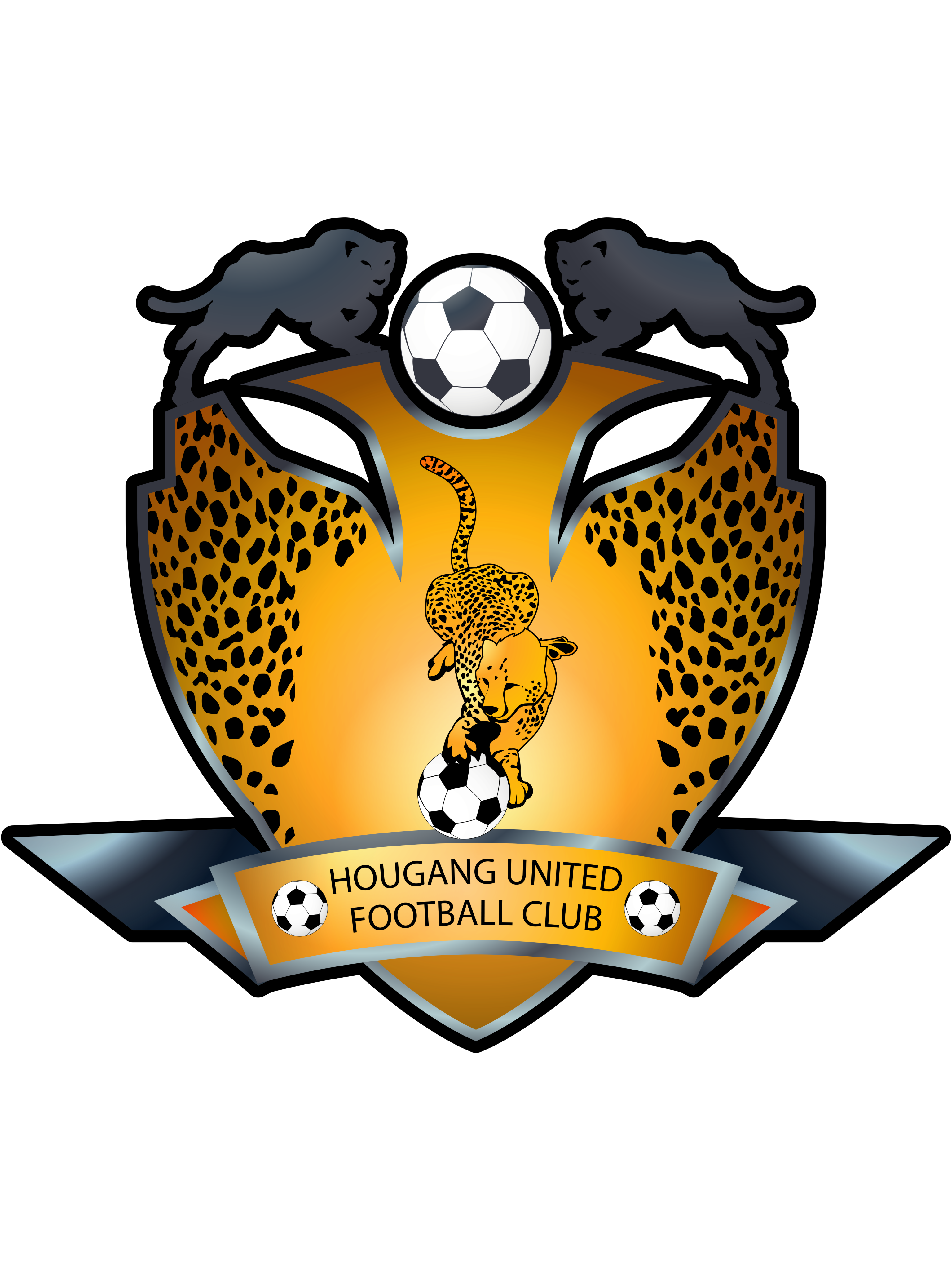 后港联足球俱乐部