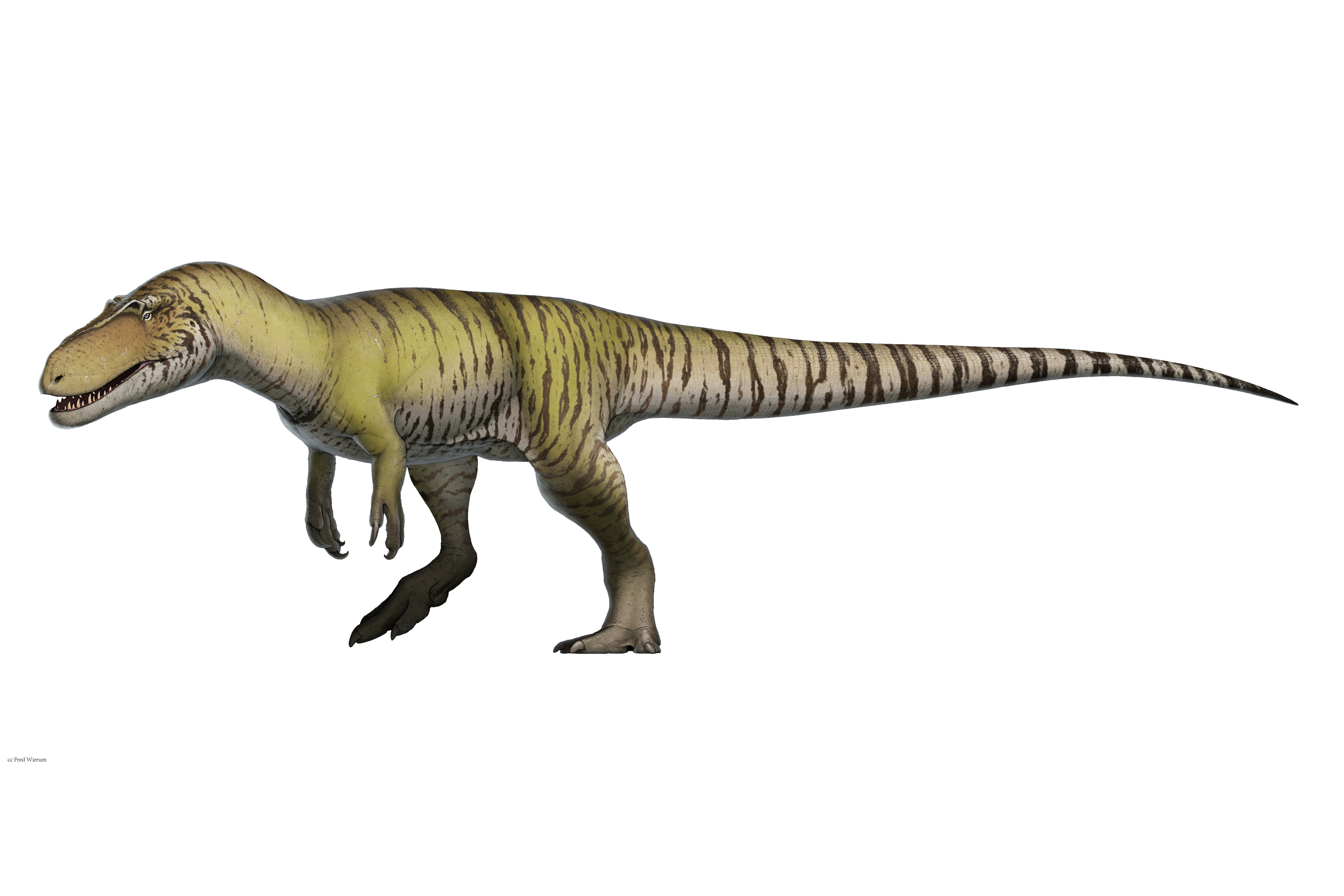  p data-id="gnt785jwus">蛮龙是生活于晚侏罗