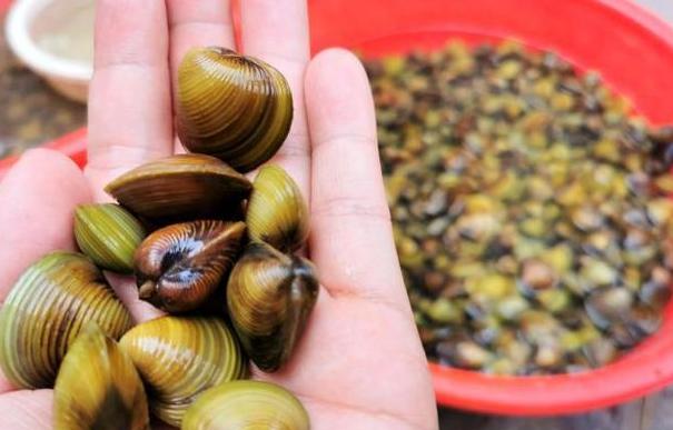 石板沙黄沙蚬烹饪技艺