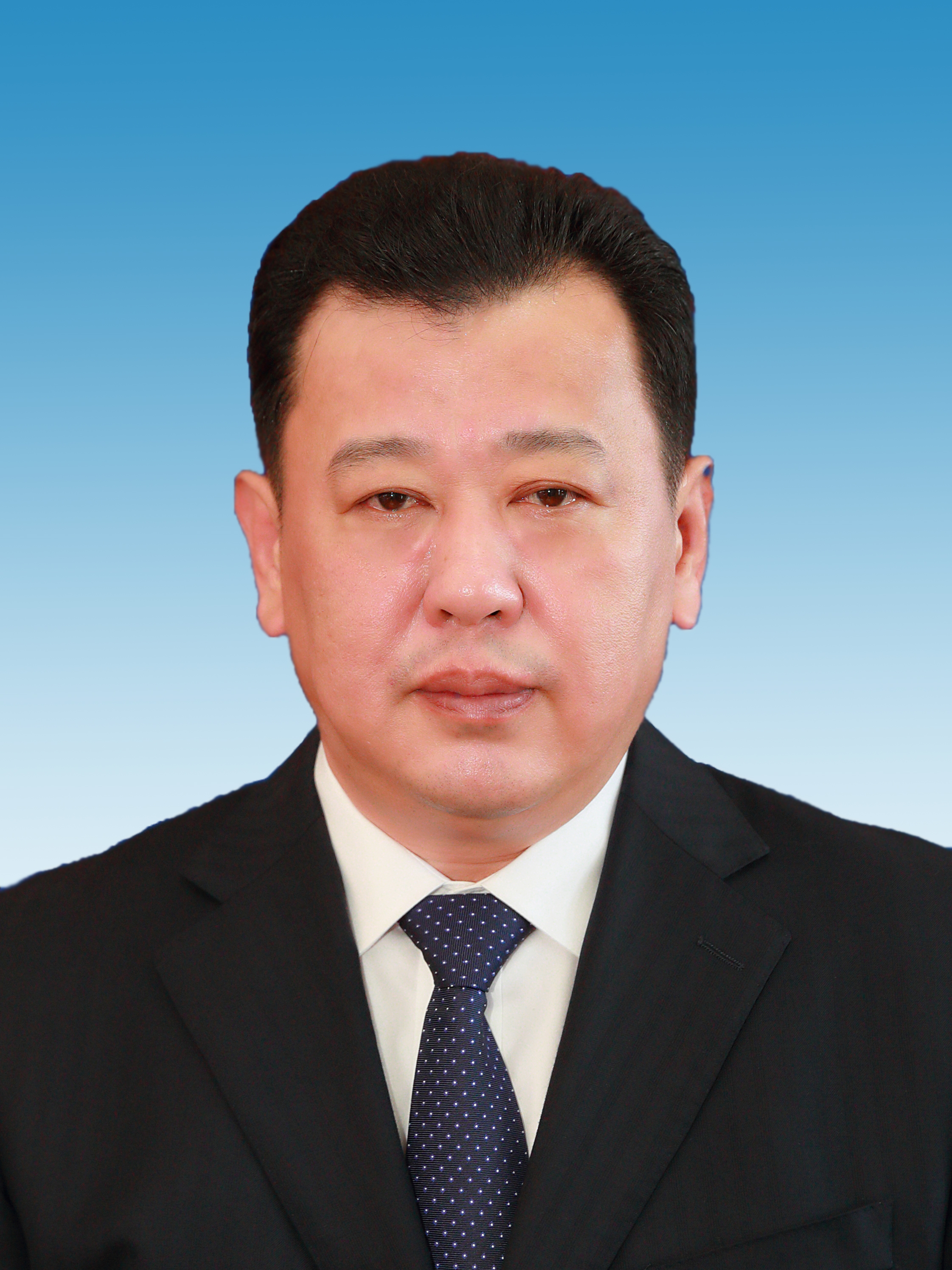 data-lemmaid="7782995">鞍山市人民政府 /a>副市长,党组成员,鞍山