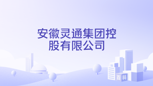 安徽灵通集团控股有限公司_百度百科