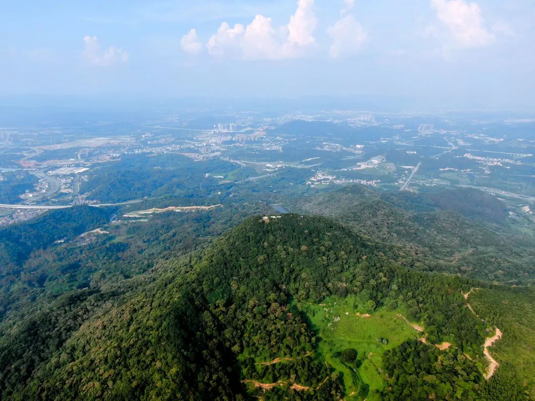 油麻山