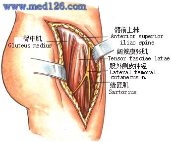臀上皮神经嵌压征
