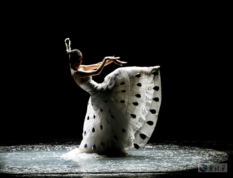  p>《雀之灵》是著名舞蹈家 a target="_blank" href="/item/杨丽萍