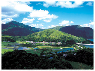 界牌镇河口村鹭鸟栖息地
