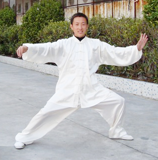 赵堡太极拳