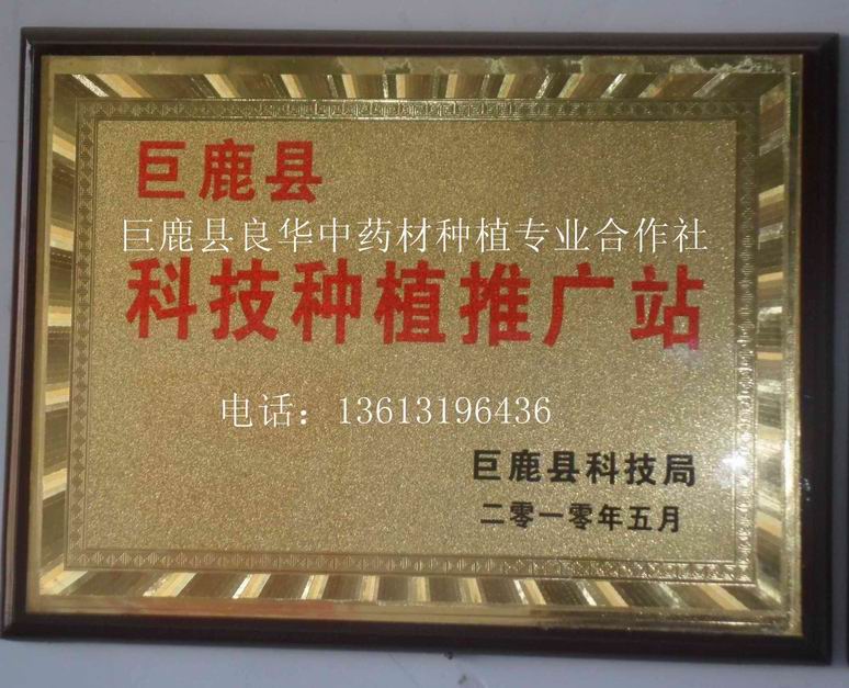 中药材种植合作社