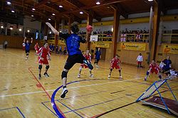 tchoukball