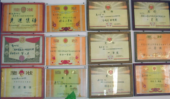 四川省仪陇复兴中学