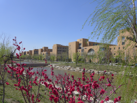  p>东营职业学院(dongying vocational institute)是经山东省人民政府