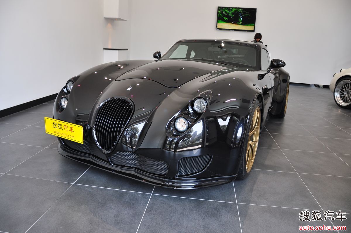 威兹曼汽车图片(像壁虎一样的车标是什么车) - 展心百科