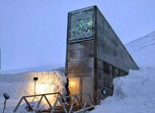 种子库下载_种子库 720p 下载（下载种子库app）