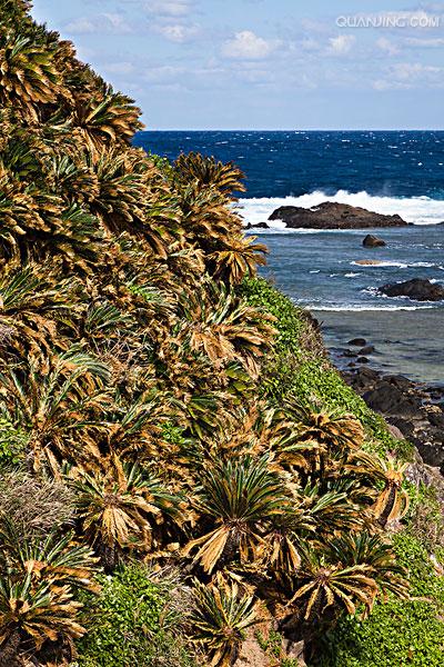  p>奄美大岛,amami great island ,属于 a target="_blank" href="