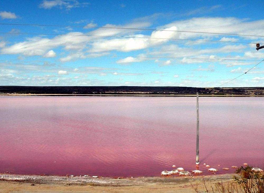  p>塞内加尔河(senegal river) a href="#">非洲 /a>西部河流.