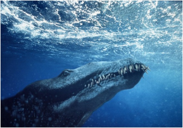 海洋爬行动物 /a>,在 a target="_blank" href="/item/侏罗纪晚期