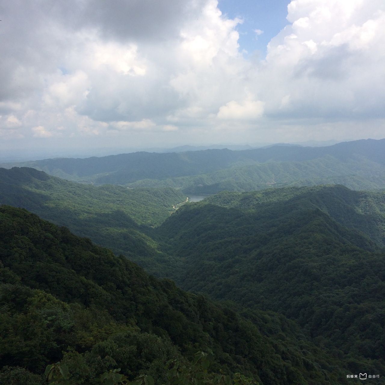 大风堡原始森林