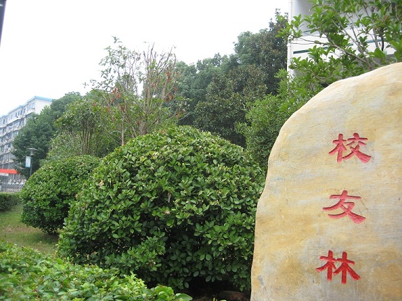 株洲市九方中学