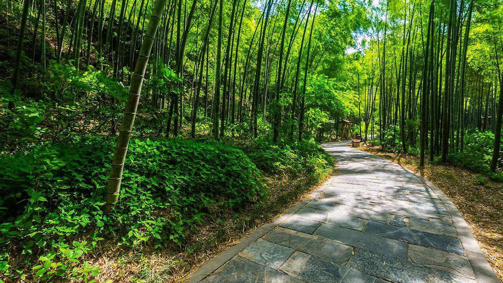 南山竹海风景区