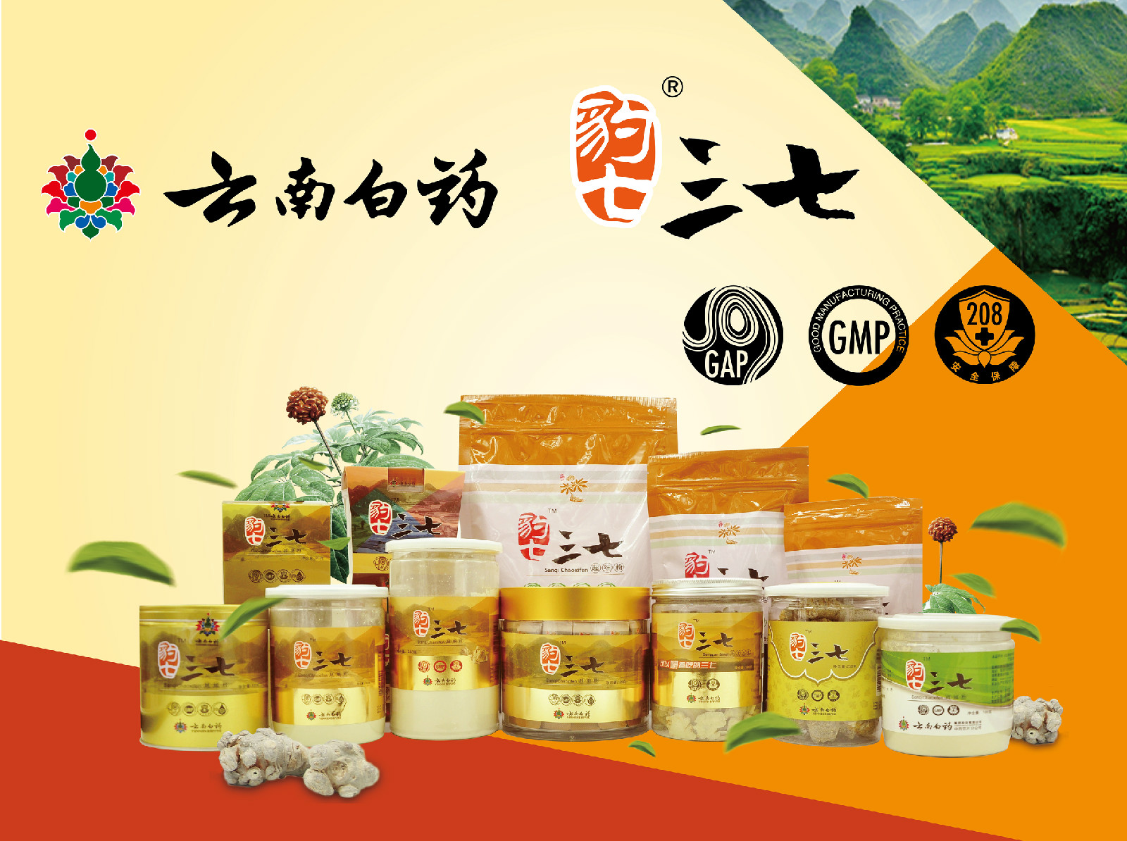 云南白药豹七三七粉