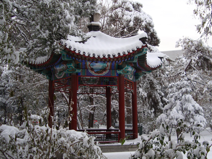  p>北京林业大学(beijing forestry university)简称"北林", a target