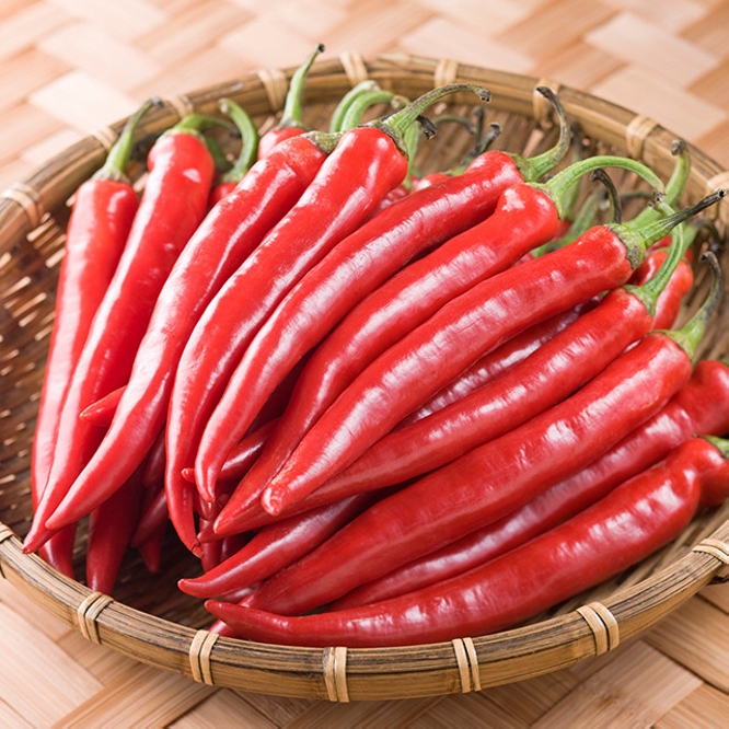 红椒