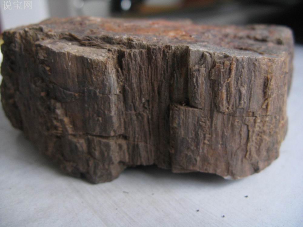  p> b>亚化石 /b>(subfossil)是指更新世以后,保存似化石的生物遗体.