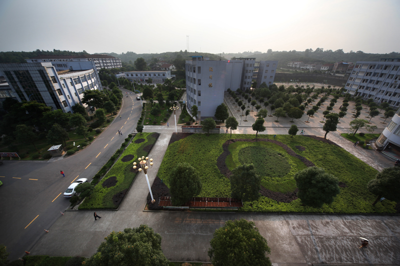 the first middle school of taoyuan county),简称"桃一","桃源一中"