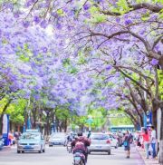 昆明一年四季都像春天，但你知道“昆明”这个名字的由来吗_百科TA说