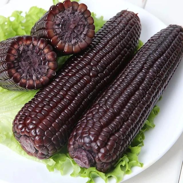 黑珍珠玉米