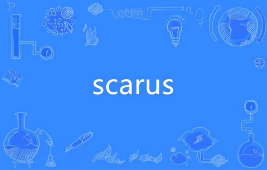 scarus_百度百科