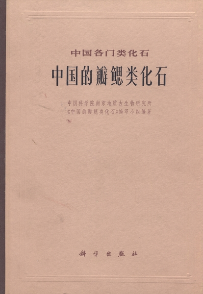 中国的瓣鳃类化石