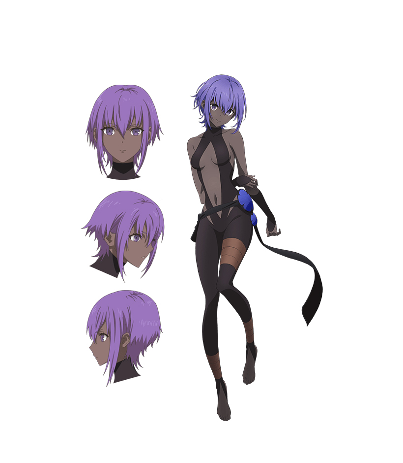 fate/grand order -神圣圆桌领域卡美洛- paladin; agateram