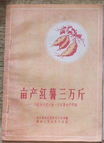 亩产红薯三万斤