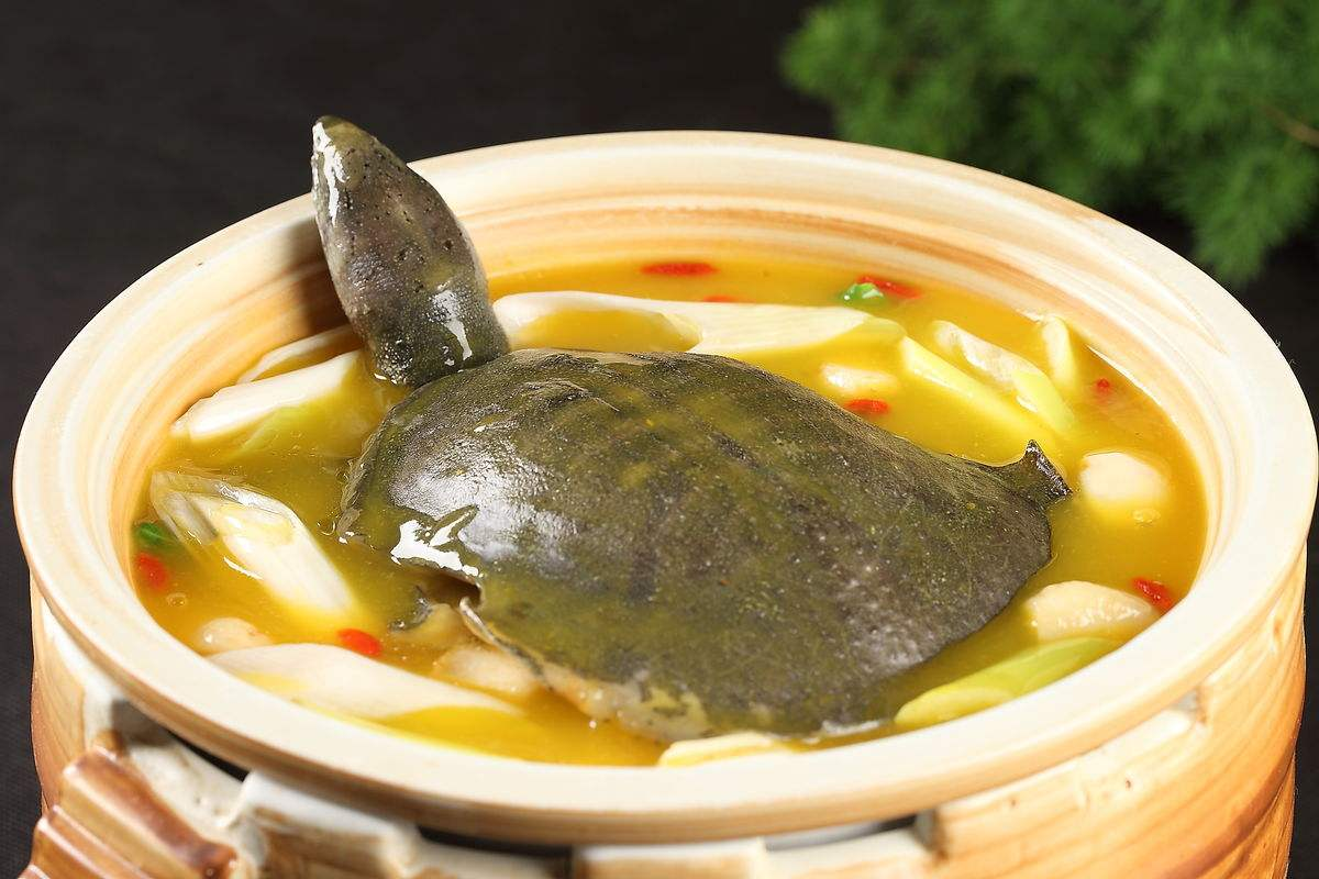 安口清炖甲鱼