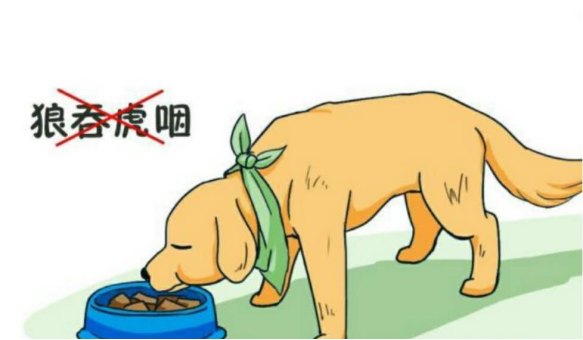 体型庞大的马士提夫犬 如何进行日常的养护 其疾病防治是关键 百科ta说