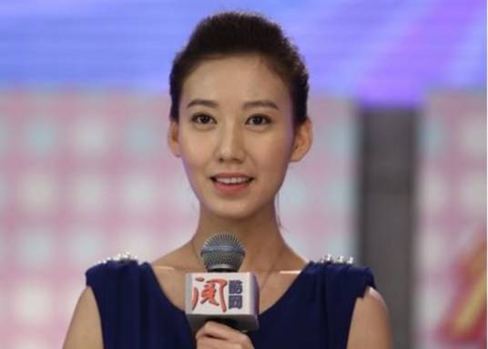 张燕（现代家庭剧《二胎》中的角色）_百度百科
