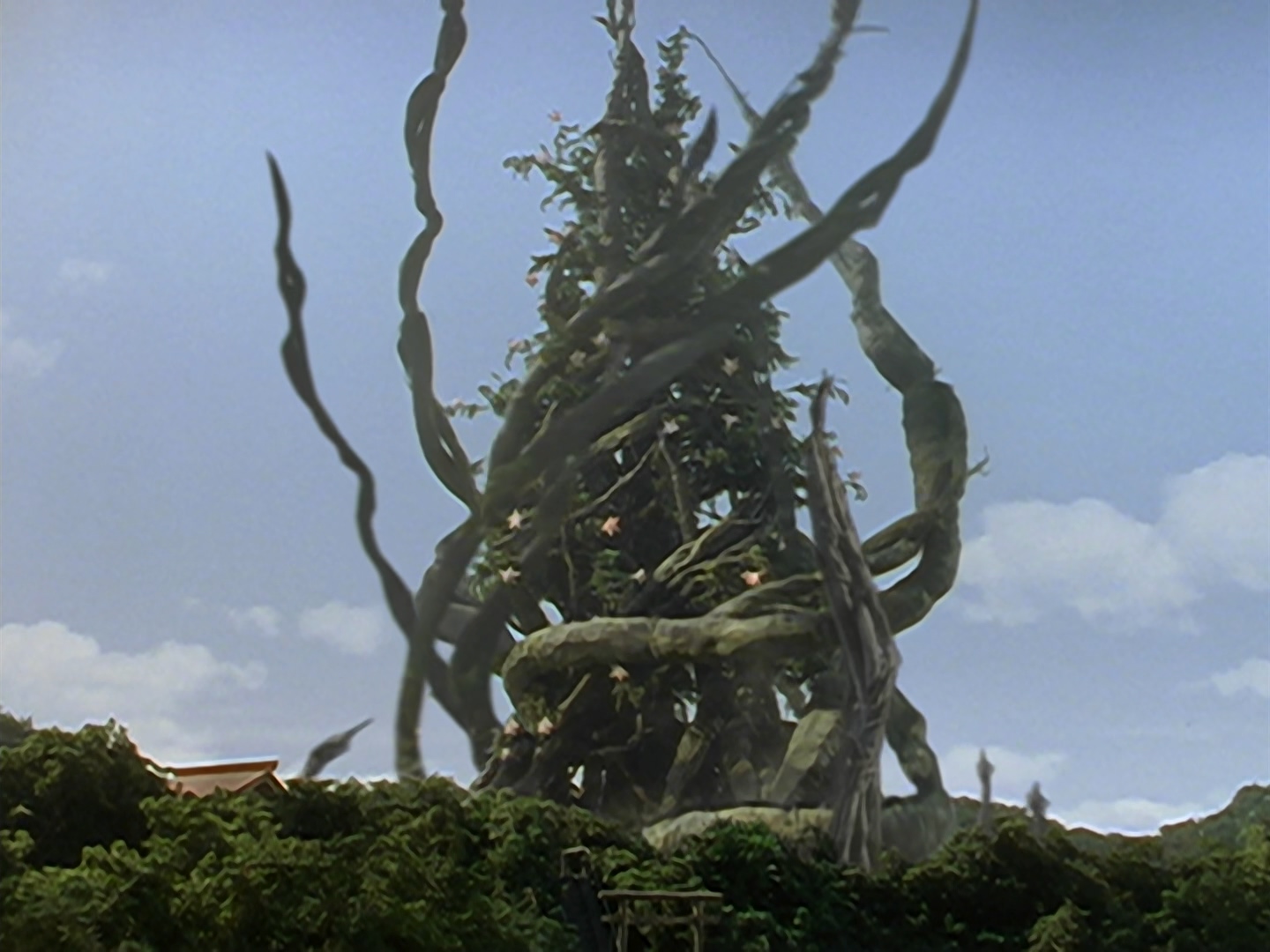 宇宙魔树戈德加基拉