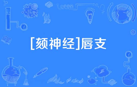 [颏神经]唇支_百度百科