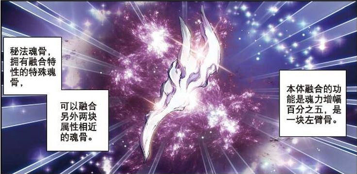 魂骨