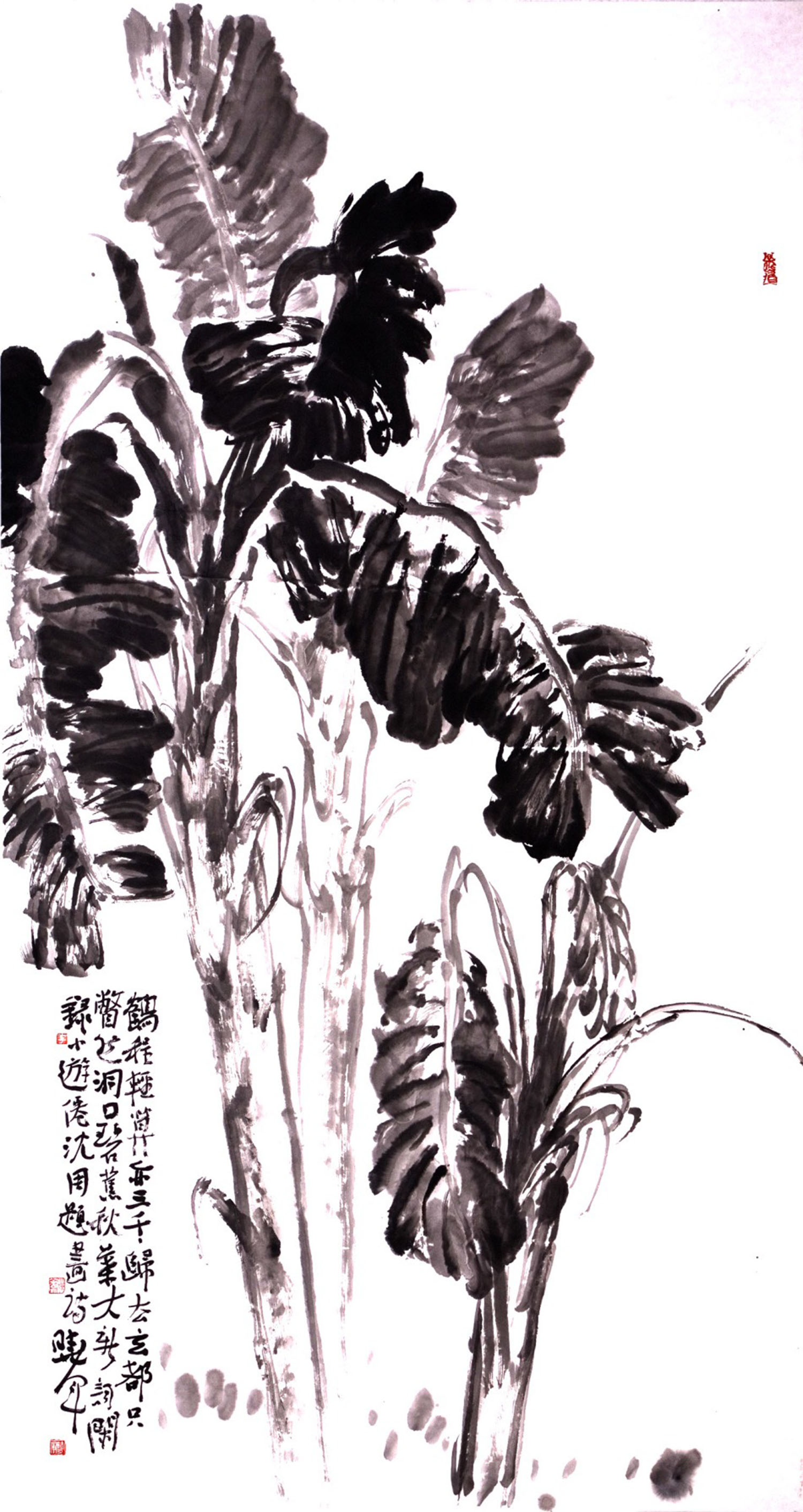 书法家李晓军(书法家李晓军的个人资料简介),书法家李晓军(书法家李晓军的个人资料简介),书法家李晓军,第2张