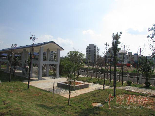 灰山港