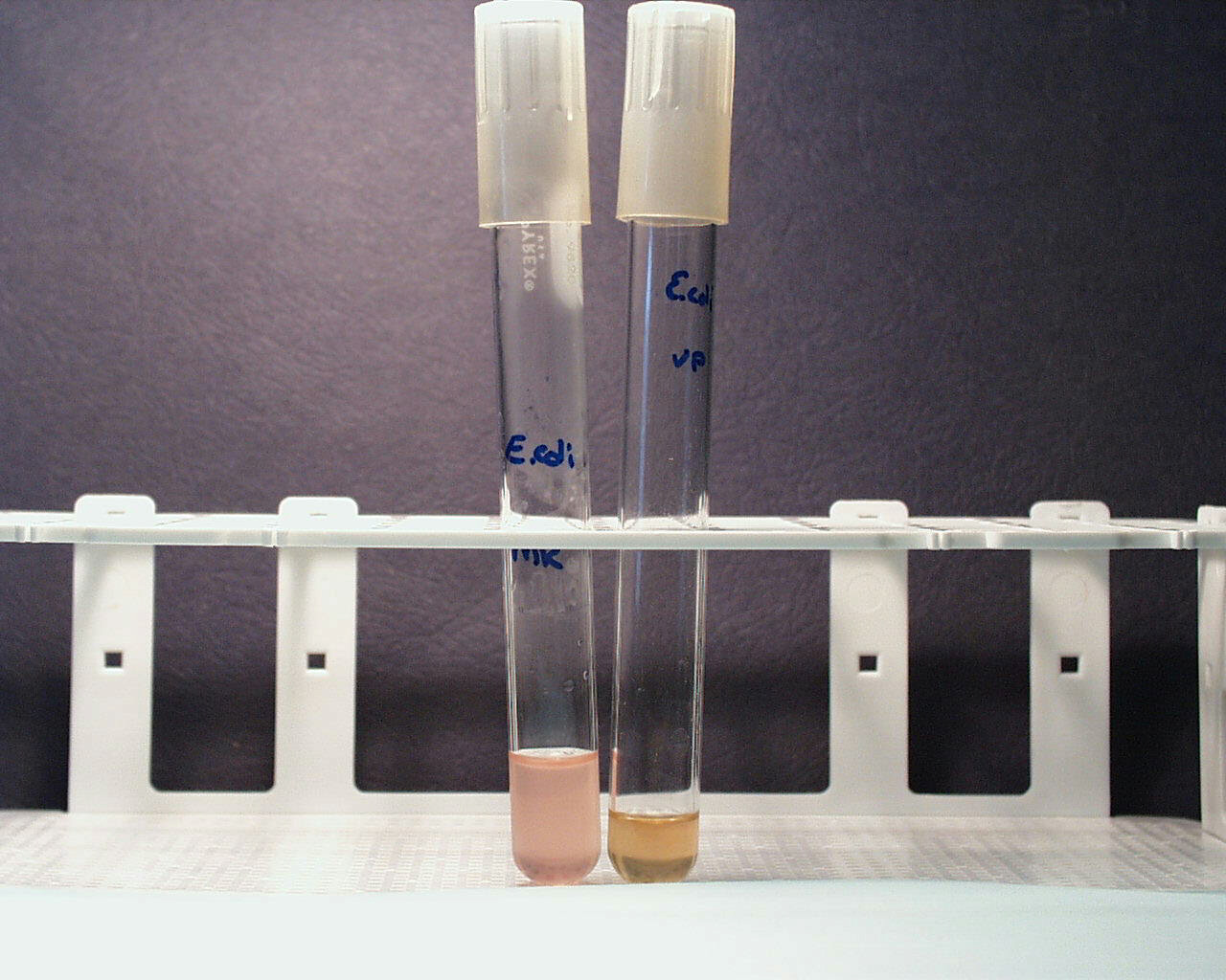  p>甲基红,是一种有机化合物,化学式为c sub>15 /sub>h sub>15 /sub>n