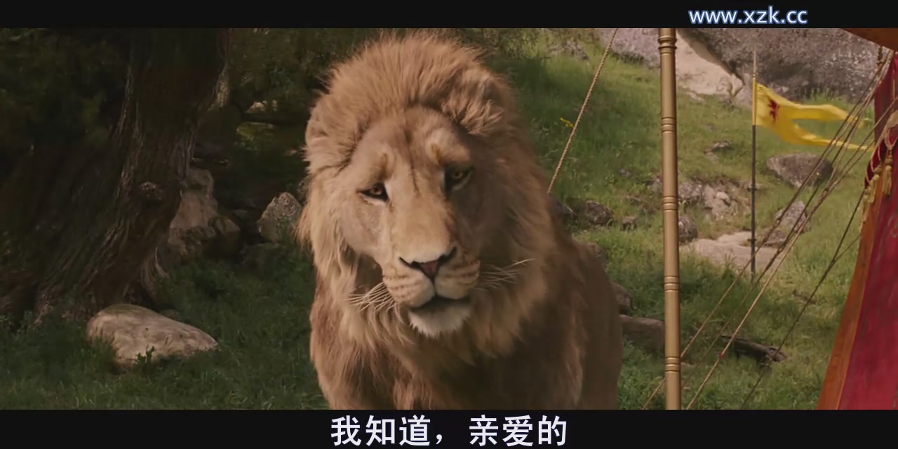 纳尼亚传奇1