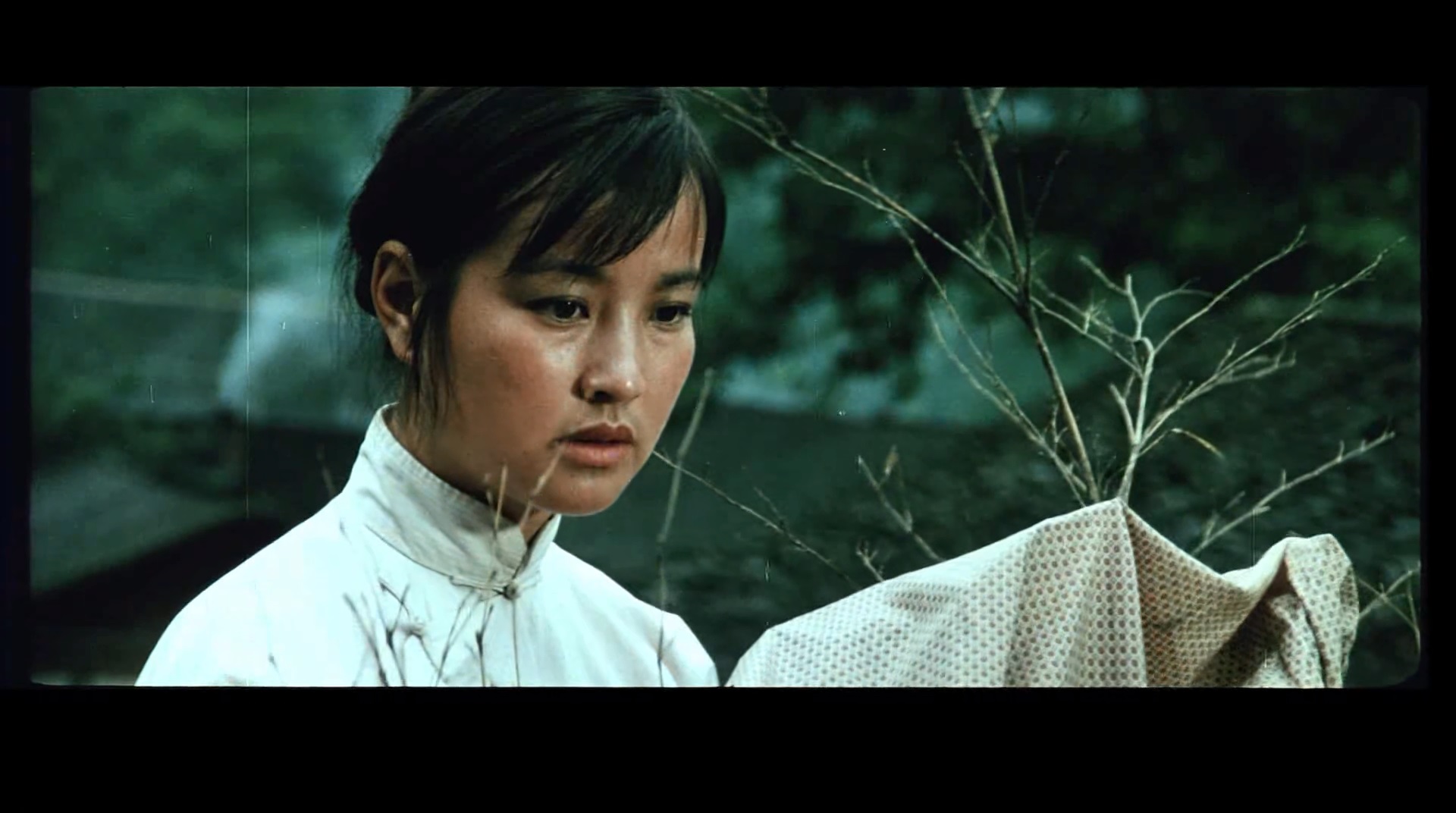 芙蓉镇hibiscustown(1986)