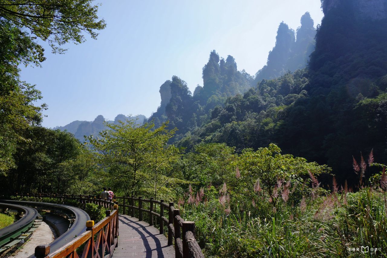 张家界十里画廊景区