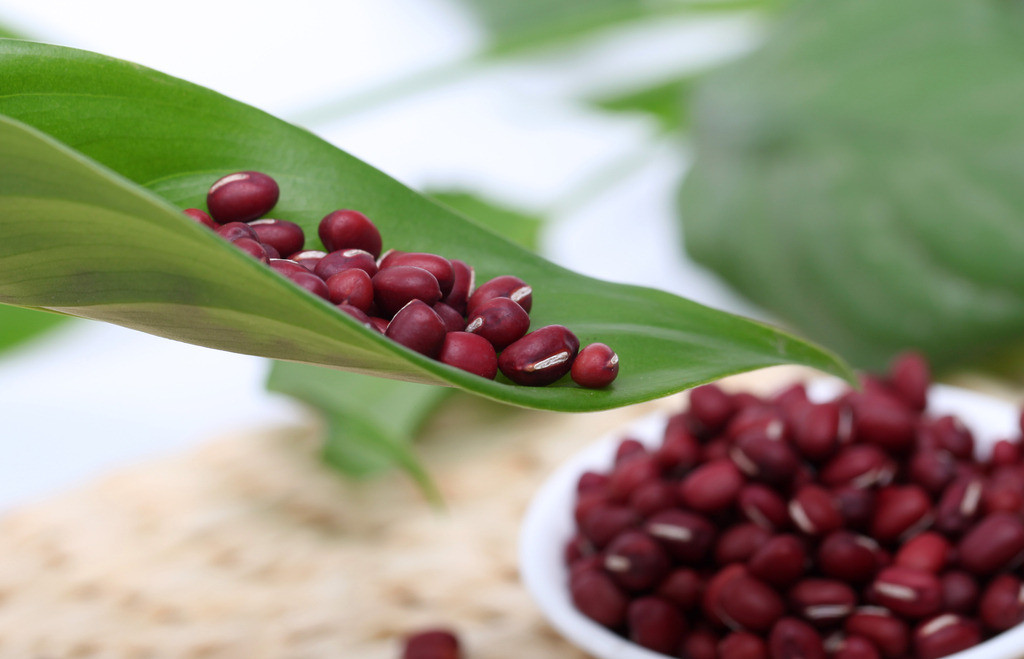 ormosia sericeolucida l. chen