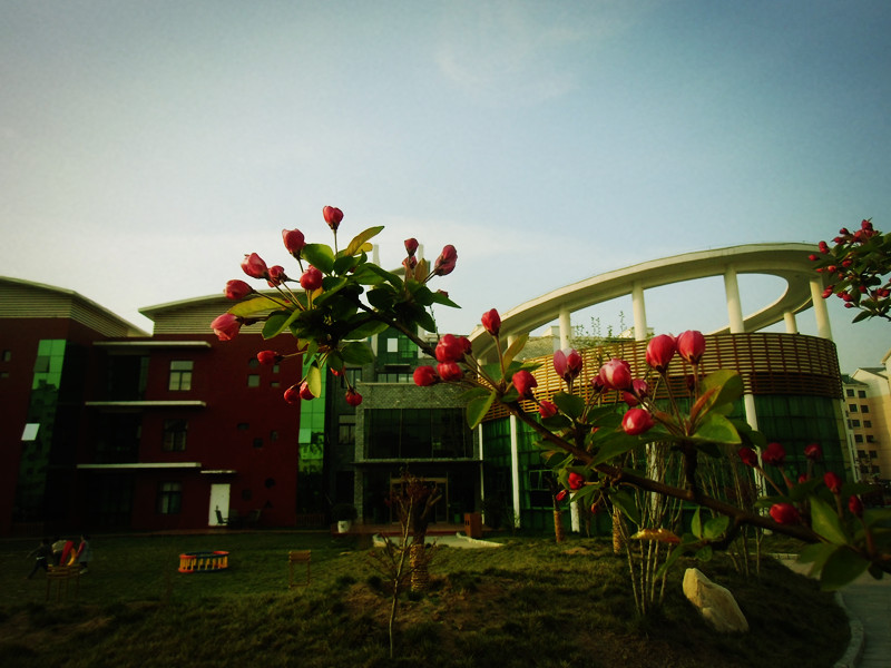 北京哈佛摇篮济宁国际幼儿园