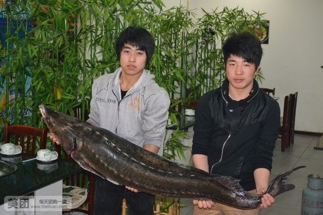  p data-id="tbzuuvwjs22u">乌苏里江野生大鱼坊是位于石家庄市长安区