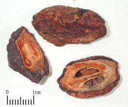 data-id="gnay92vcv8">野木瓜, a target="_blank" href="/item/中药