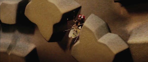 功夫小蝇 eega
